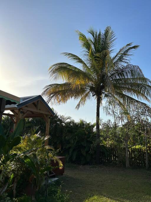 Bungalow Avec Jacuzzi Privatif Villa Sainte-Rose Eksteriør billede