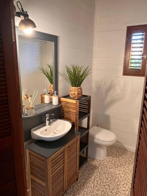 Bungalow Avec Jacuzzi Privatif Villa Sainte-Rose Eksteriør billede